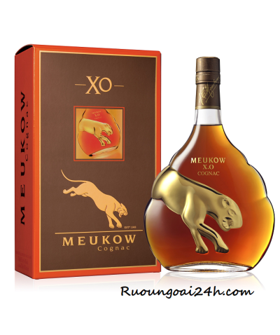 Rượu Meukow XO